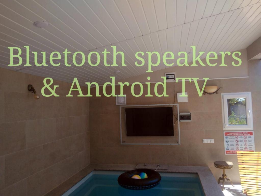 Televízia a/alebo spoločenská miestnosť v ubytovaní Manora guest pool house Sucuraj