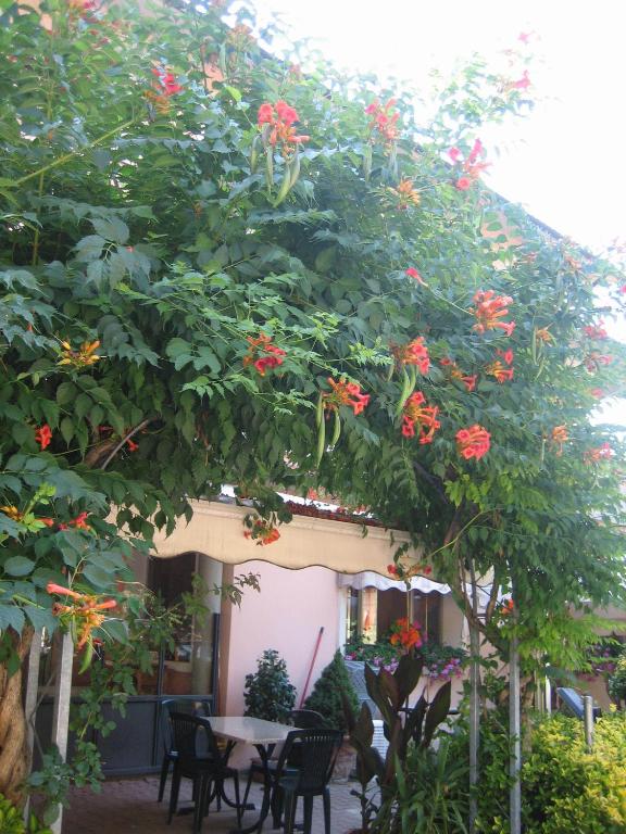 Vonkajšia záhrada v ubytovaní Albergo Ristorante Sterlina