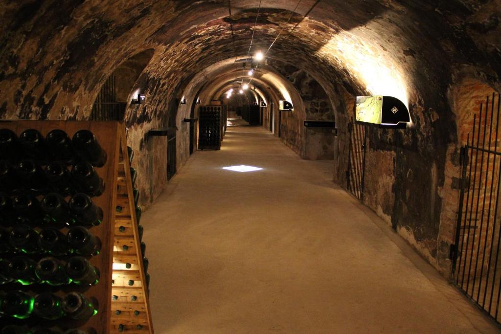 Enjoy en Champagne au calme milieu des vignes - Maison De Trois Chambres