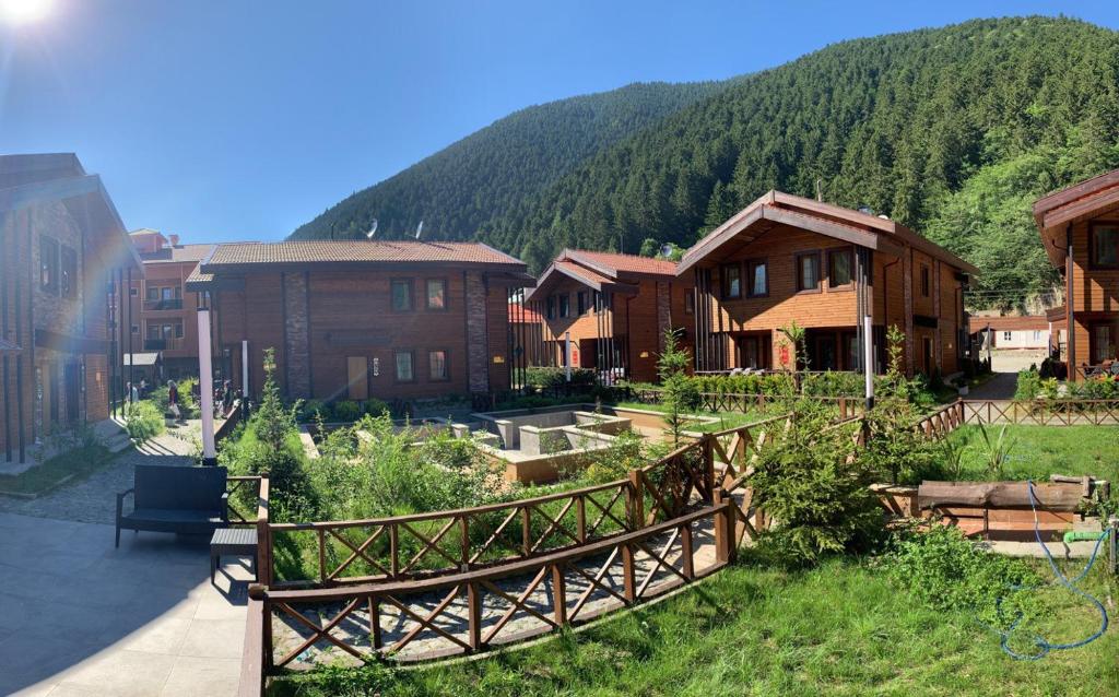 a group of buildings with a mountain in the background at Inanlar Premium Suites & Villas in Uzungöl