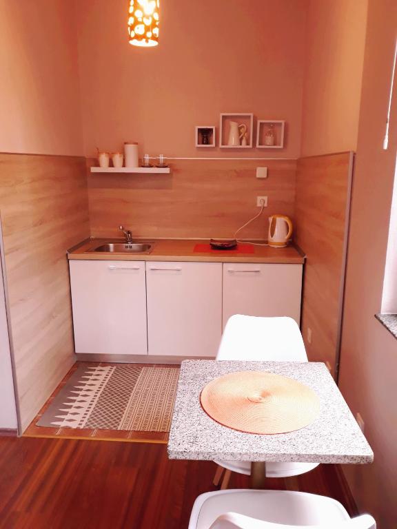 Kuchyň nebo kuchyňský kout v ubytování Apartmani RALE rooms