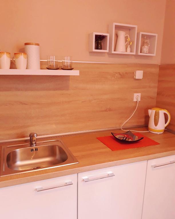 Kuchyň nebo kuchyňský kout v ubytování Apartmani RALE rooms