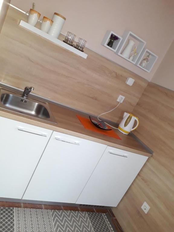 Kuchyň nebo kuchyňský kout v ubytování Apartmani RALE rooms