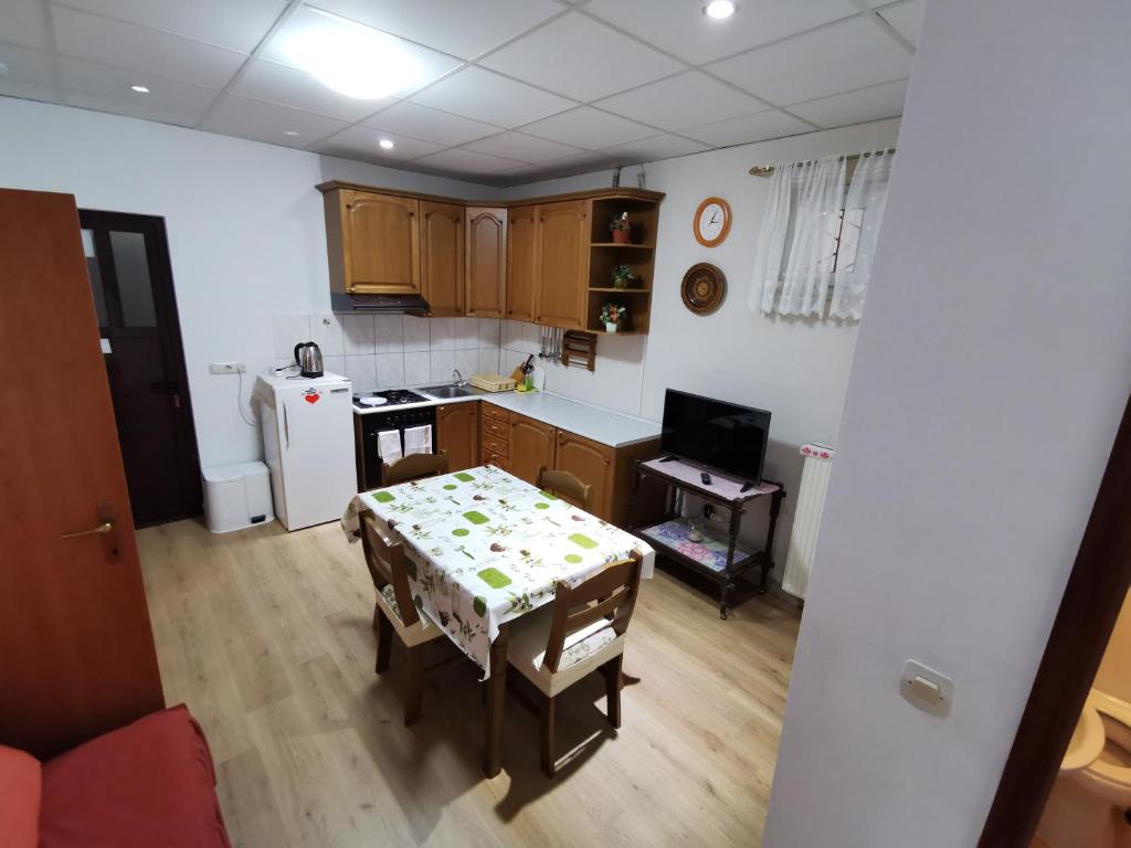 Kuchyňa alebo kuchynka v ubytovaní Apartments Sustic