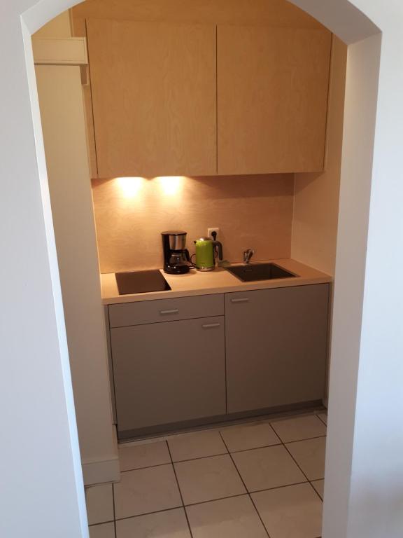 Kuchyň nebo kuchyňský kout v ubytování Guesthouse Dusart