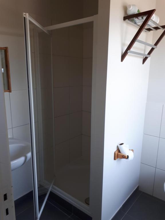 a shower with a glass door in a bathroom at Guesthouse Dusart in Hasselt