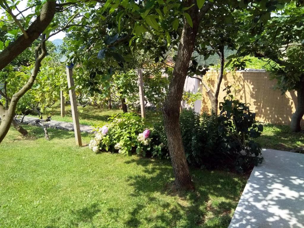 Zahrada ubytování Apartments Villa Andjela