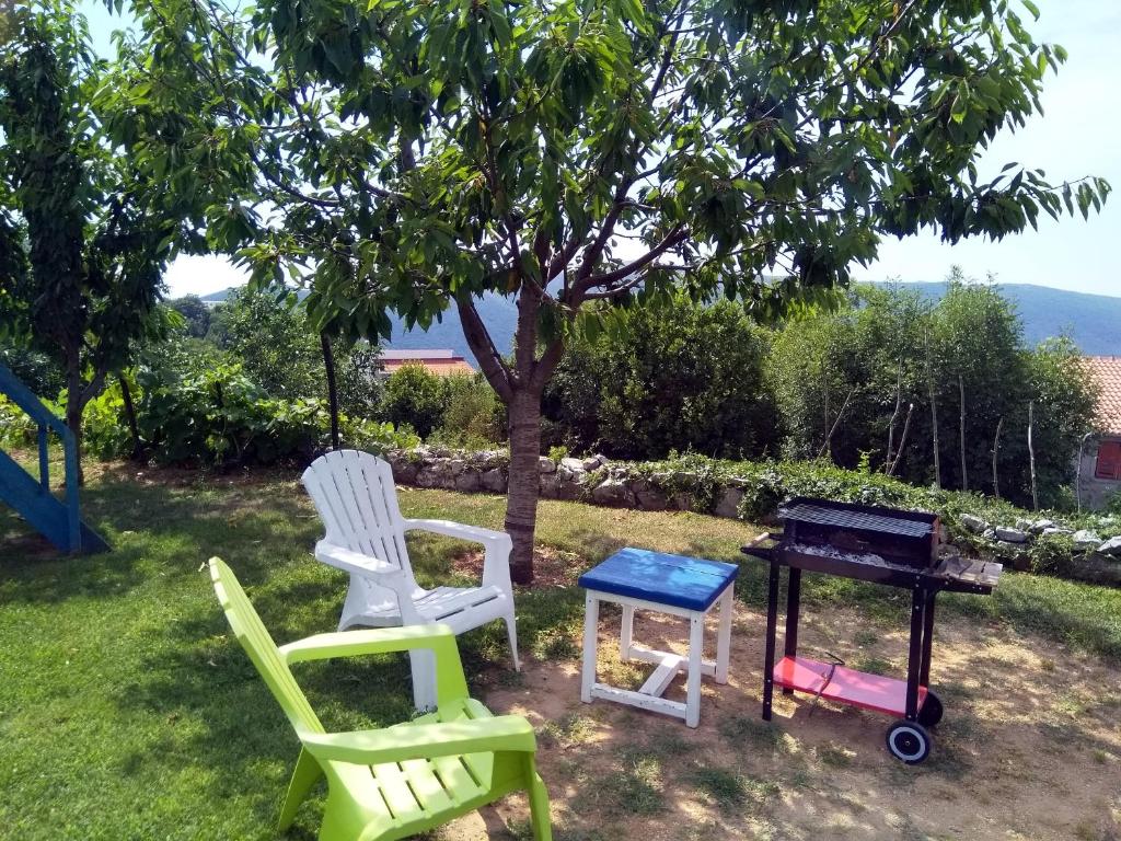 Příroda nedaleko apartmánu