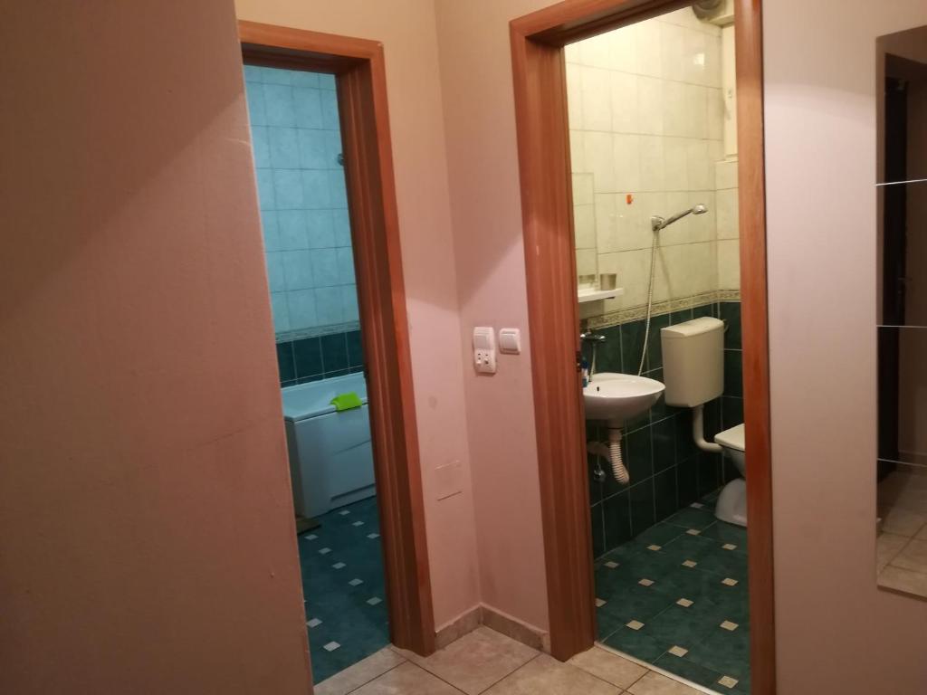 Apartment Branicevska 1