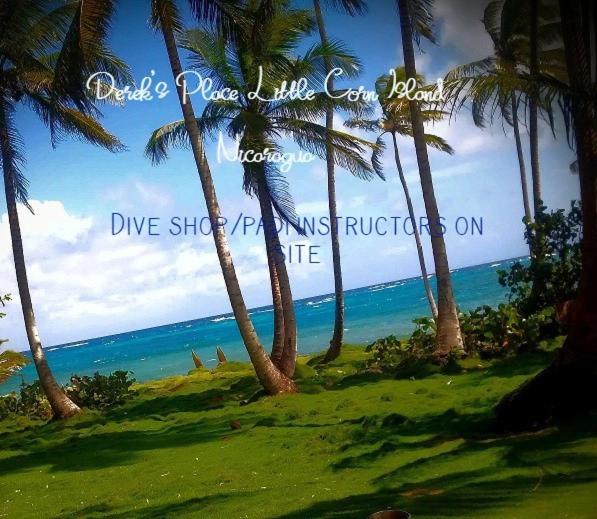 a picture of a beach with palm trees and the ocean at Derek's Place Eco-Lodge in Little Corn Island