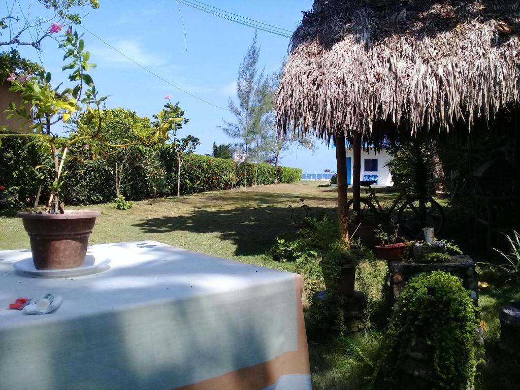 a table in a yard with a thatch hut at Portón Azul in Montañita