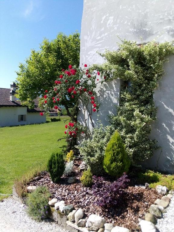 Zahrada ubytování B&B La casa di Loretta