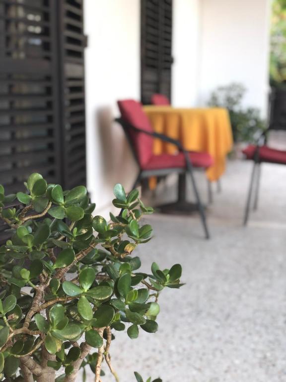 A balcony or terrace at Guest House Plima 2