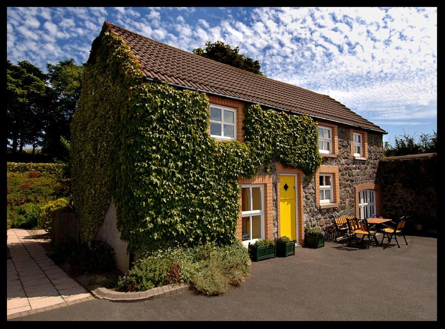 una casa cubierta de hiedra con una puerta amarilla en Hillcrest Cottage, en Carrickfergus