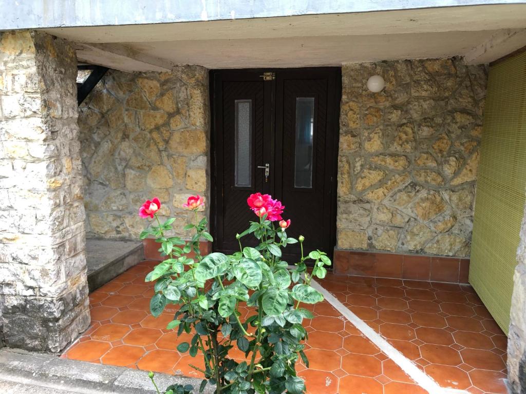 Fotografie z fotogalerie ubytování Schmidt Apartman 2. v destinaci Csopak