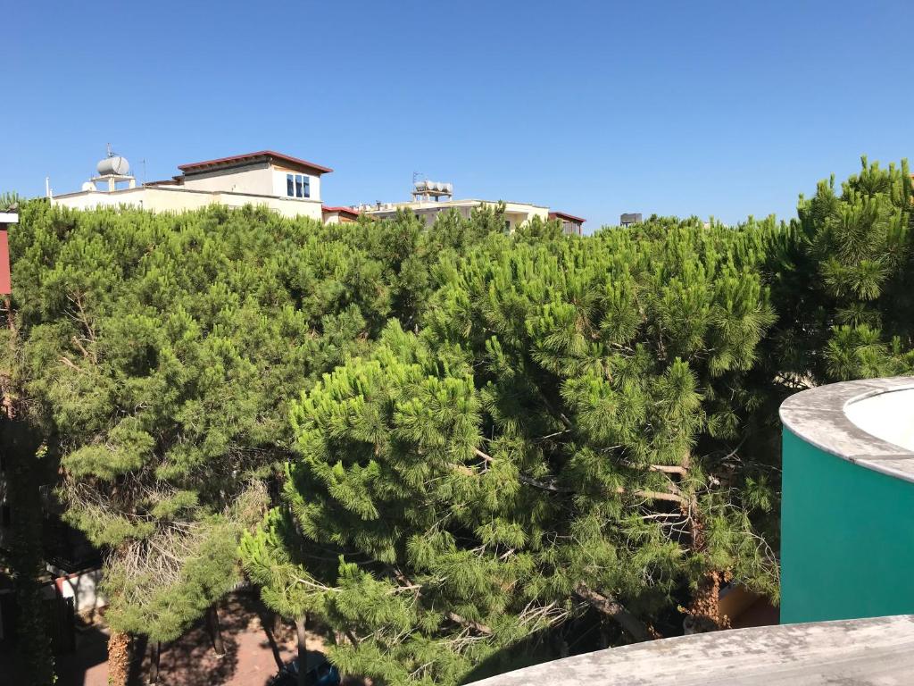 Příroda nedaleko hotelu