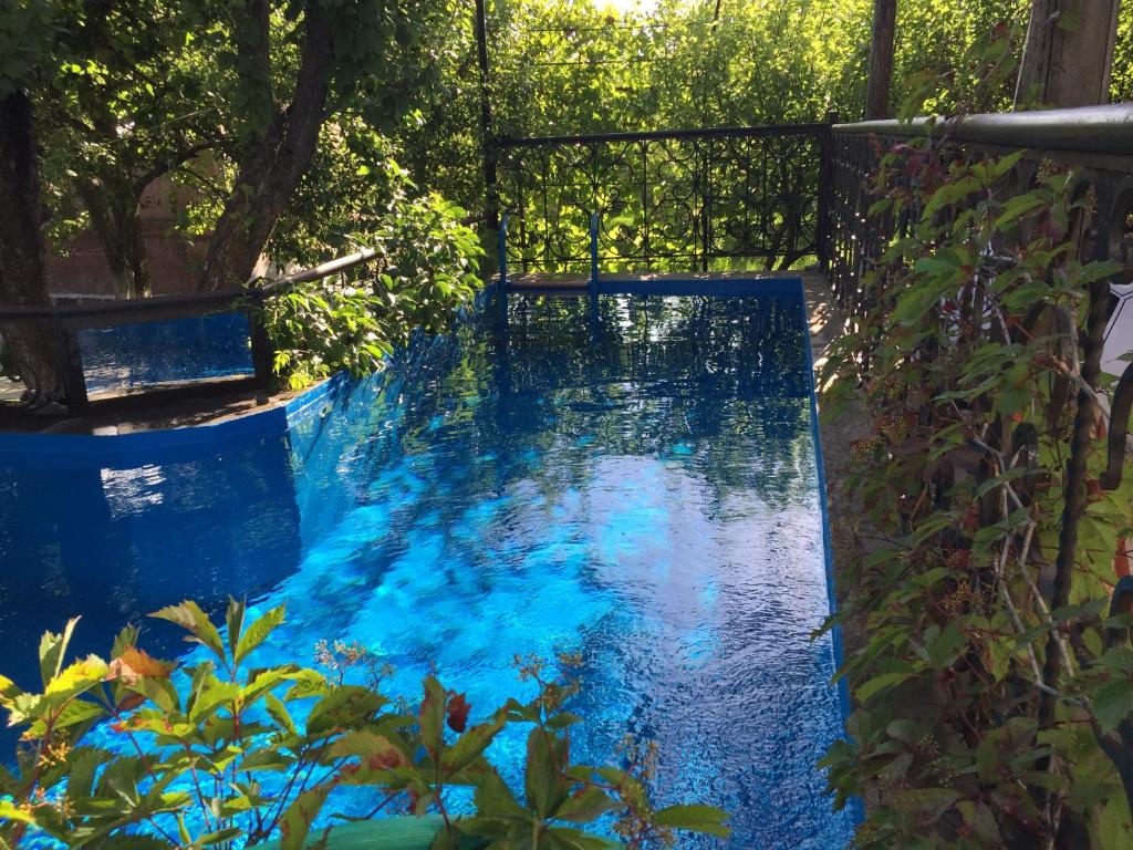 einen Pool mit blauem Wasser im Garten in der Unterkunft Apple Tree Family Home (ECO) in Dzorakap