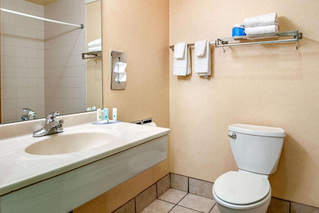 Koupelna v ubytování Quality Inn