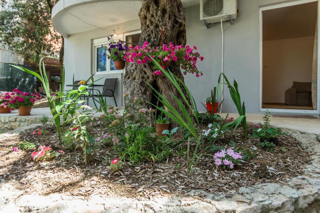 Zahrada ubytování Apartments Radost