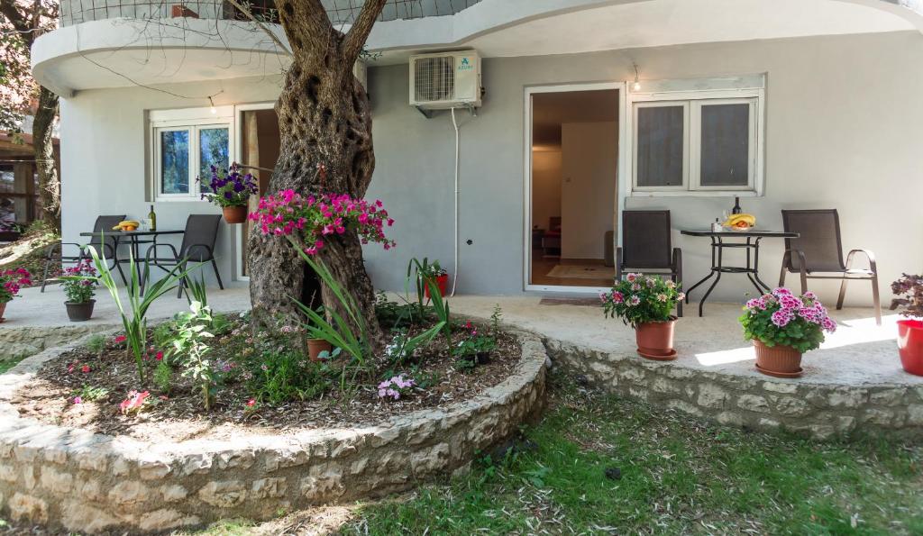 Zahrada ubytování Apartments Radost