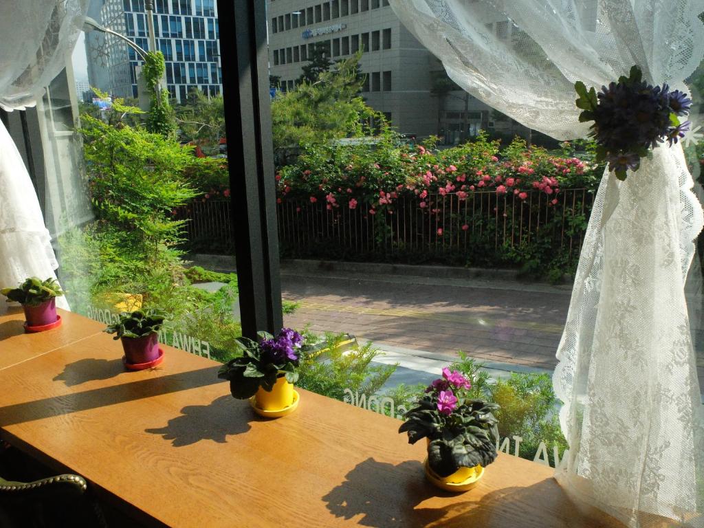 ein Fenster mit Topfpflanzen auf einem Holztisch in der Unterkunft Ehwa In Myeongdong in Seoul