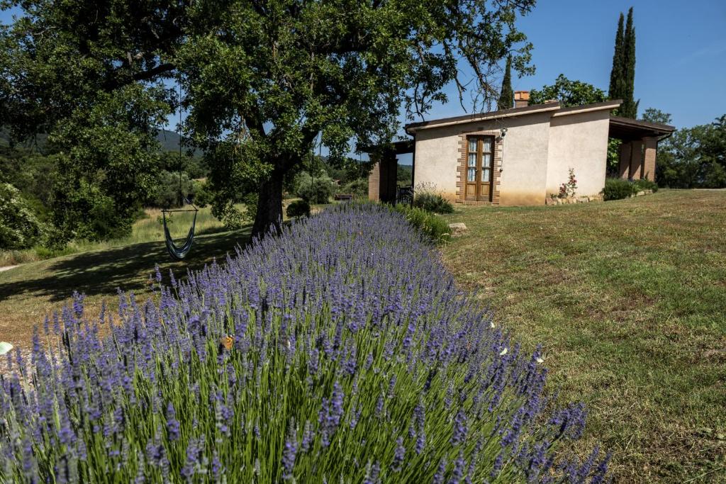 Agriturismo Belvedere Di Pierini E Brugi - Appartement De Deux Chambres
