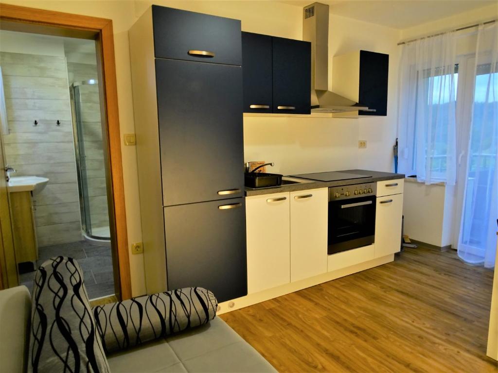 Kuchyň nebo kuchyňský kout v ubytování Apartments Laura FARM STAY