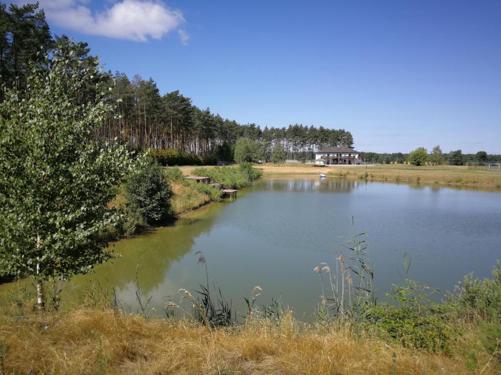duże jezioro z drzewami w tle w obiekcie Wypoczynek Nad Stawem w mieście Silna