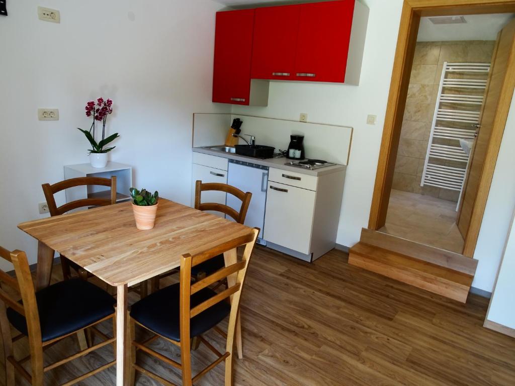 Kuchyň nebo kuchyňský kout v ubytování Apartments Laura FARM STAY