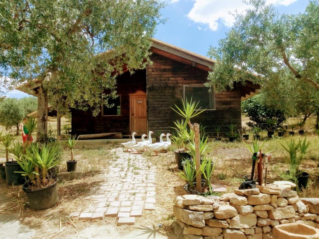 A garden outside Villa Rossi