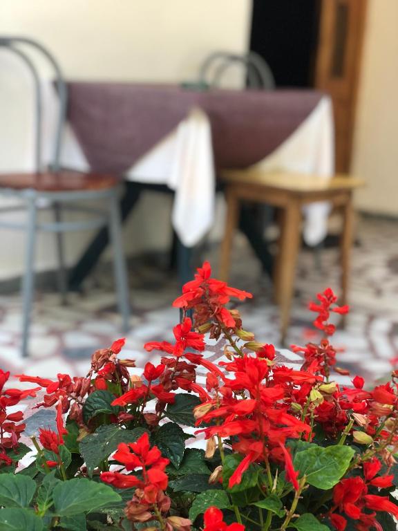Kép Guest House Plima 2 szállásáról Budvában a galériában