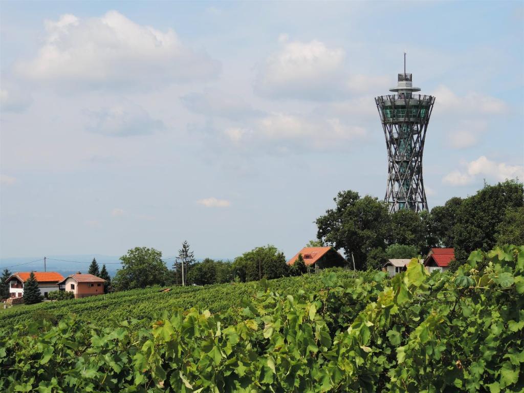 uma torre de telemóvel numa colina ao lado de um campo em Zidanica Lan em Lendava