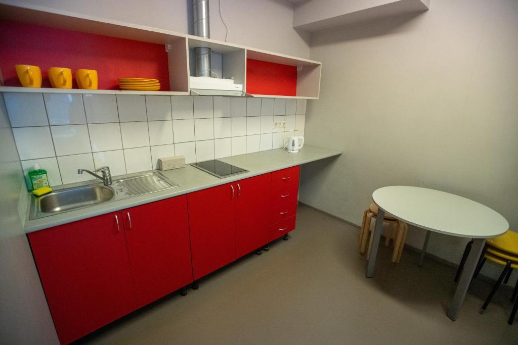 Kuchyň nebo kuchyňský kout v ubytování Downtown Hostel