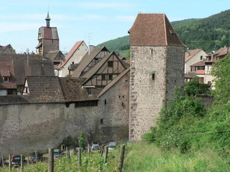 Příroda nedaleko bed and breakfast