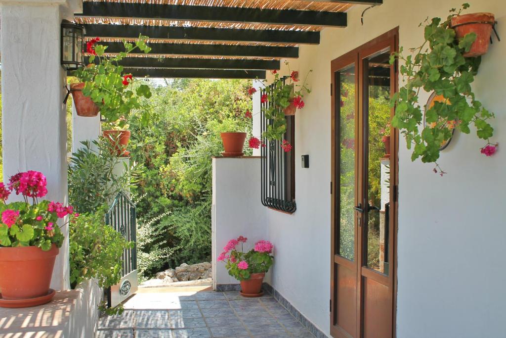 Casas Rurales Los Algarrobales - 5