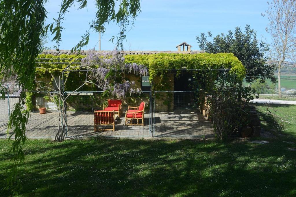 a patio with two chairs and a pergola with vines at casa Nenella in Corridonia