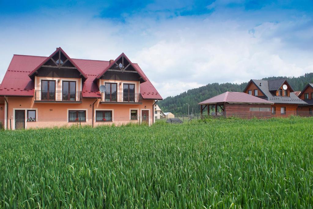 a house in the middle of a field of grass at Pod Świerkami - pokoje in Kacwin