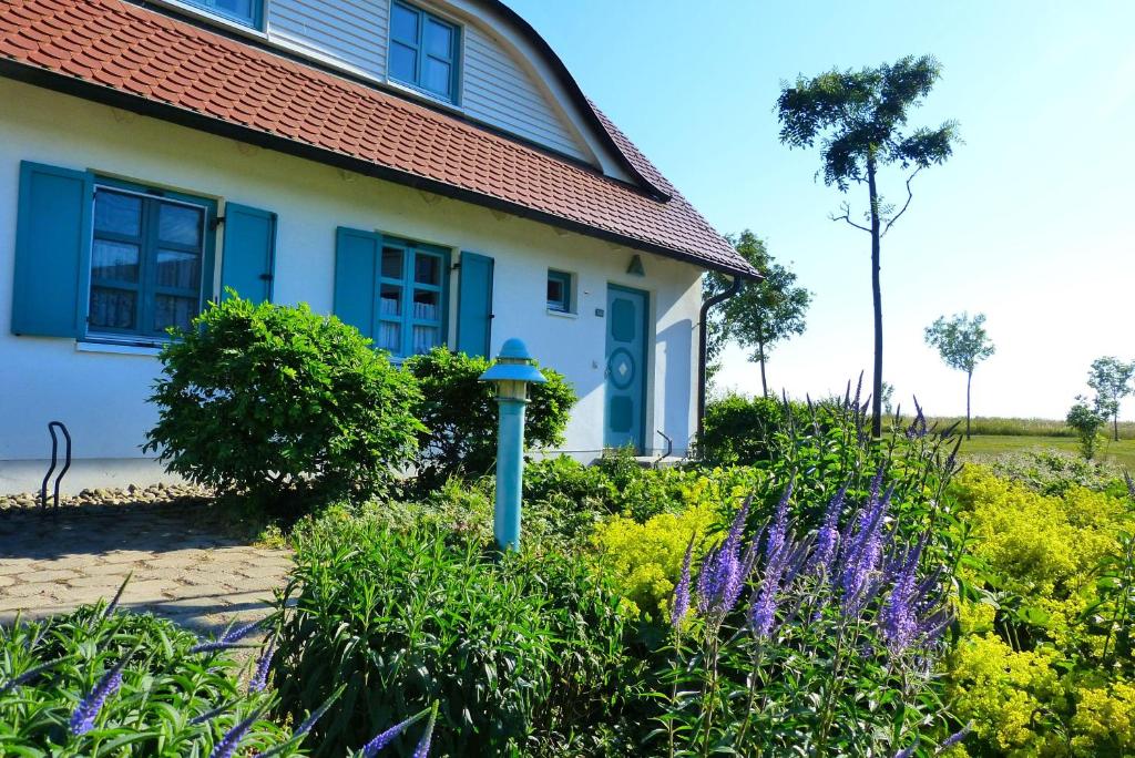 ドランスケにあるFerienhaus-Sonnenblumeの紫の花の庭園のある青白の家