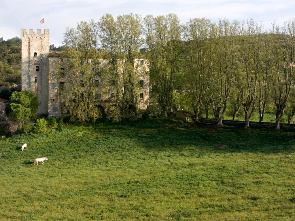 un perro pastando en un campo frente a un castillo en Château d'Esparron, en Esparron-de-Verdon
