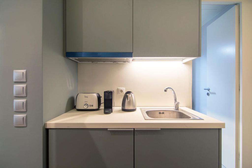 Kolokotroni Lofts Syntagma - 标准工作室