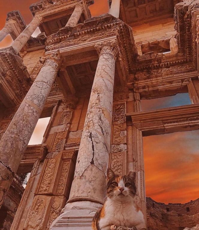 Fotografie z fotogalerie ubytování Ibri Hotel v destinaci Selcuk