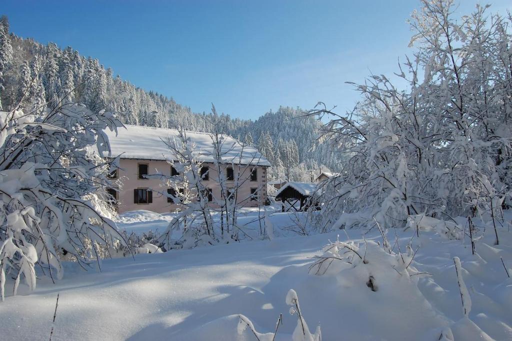 una casa cubierta de nieve con árboles delante en Le Kichompre en Gérardmer