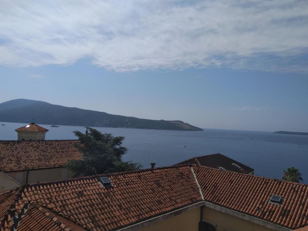 Blick auf das Wasser von den Dächern der Häuser in der Unterkunft Studio Apartman GRACIJA in Herceg-Novi