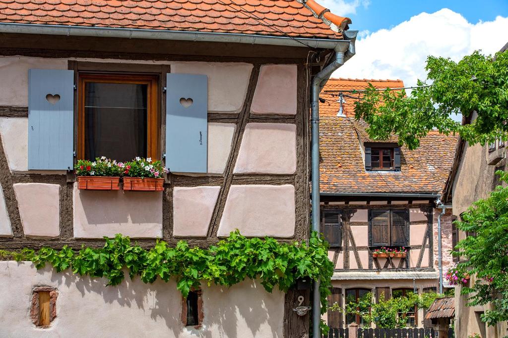 um edifício com uma janela com caixas de flores em Le Nid de Birsa, 3 étoiles, hébergement de très bon confort em Boersch