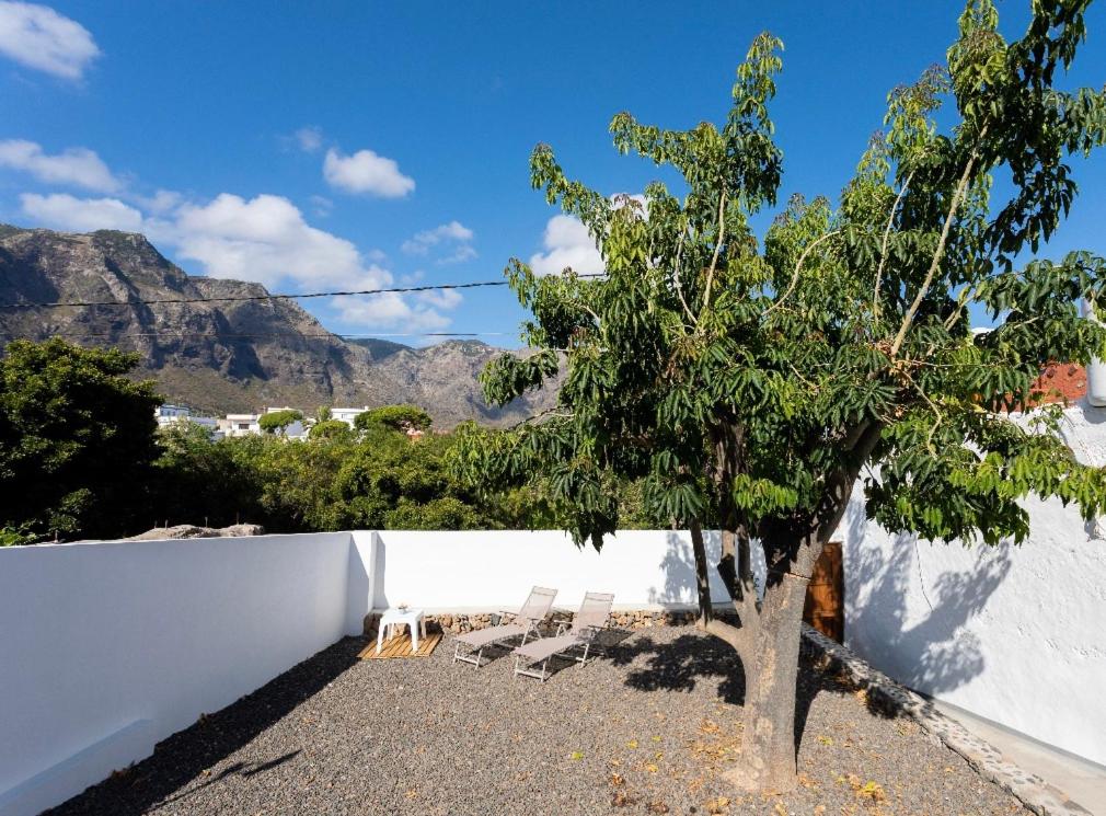 een groep stoelen en een boom naast een muur bij La Casita de Juana in Buenavista del Norte