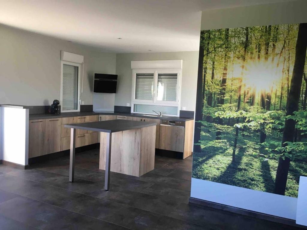Kuchyň nebo kuchyňský kout v ubytování Gîte aux Portes d'Aubrac