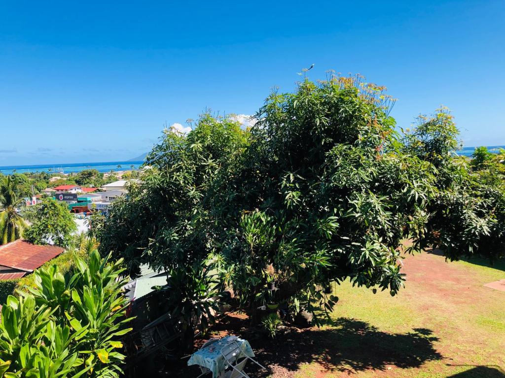 L'Escale Vanille - 500m de l'aéroport - photo 11 - Tahiti, Polynésie