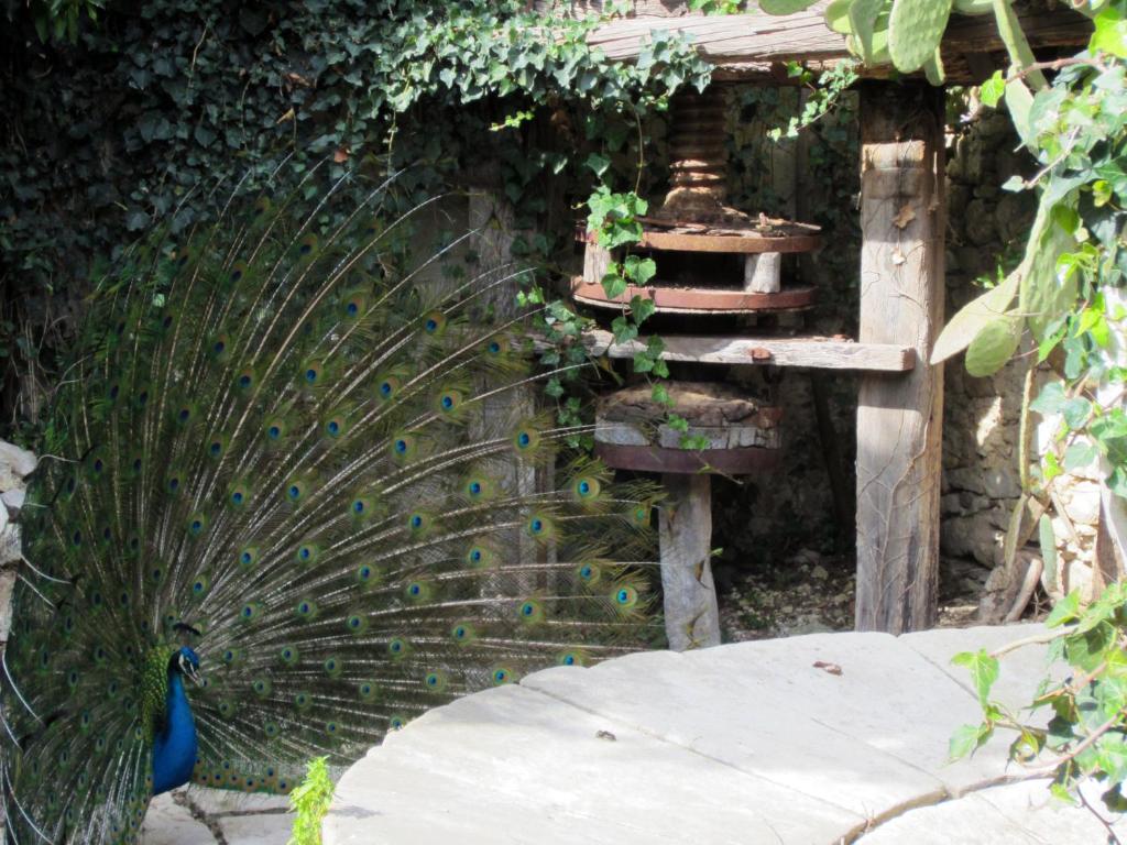 Fotografia z galérie ubytovania Candalù - Villa Giardinata v destinácii Valderice