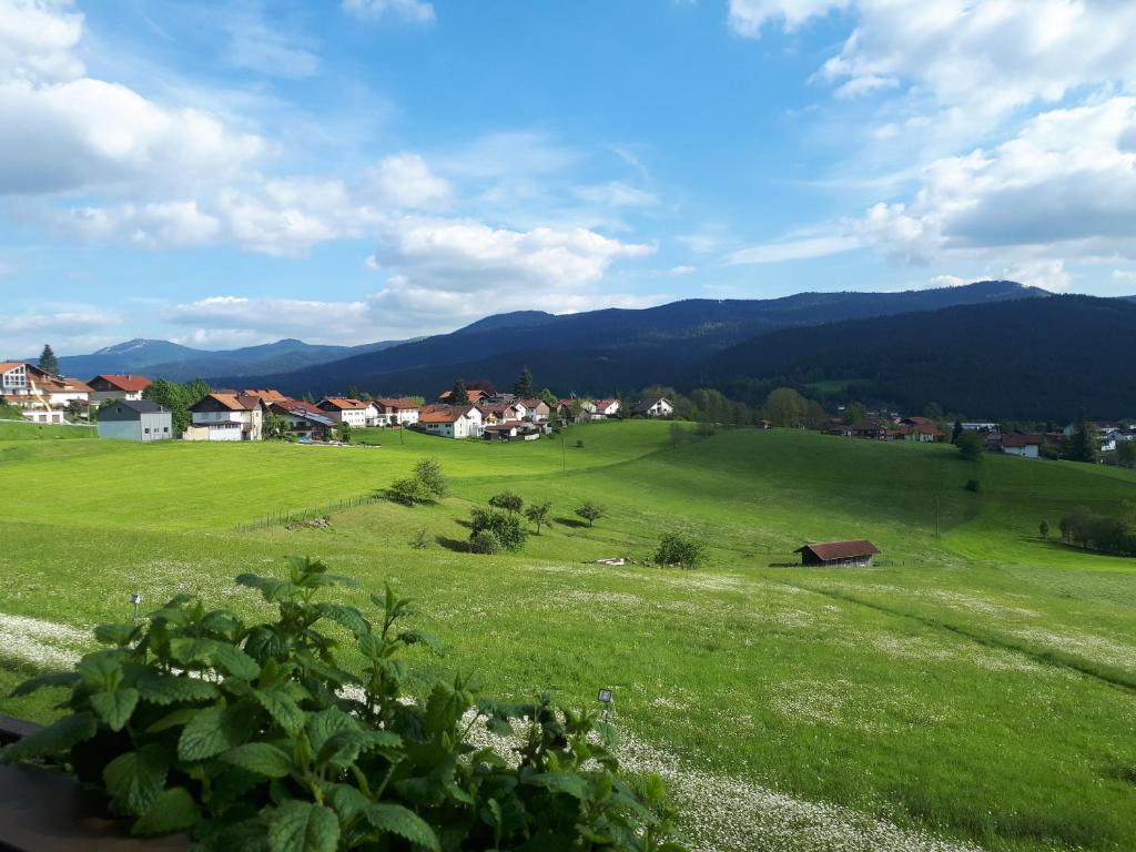 Příroda nedaleko hotelu