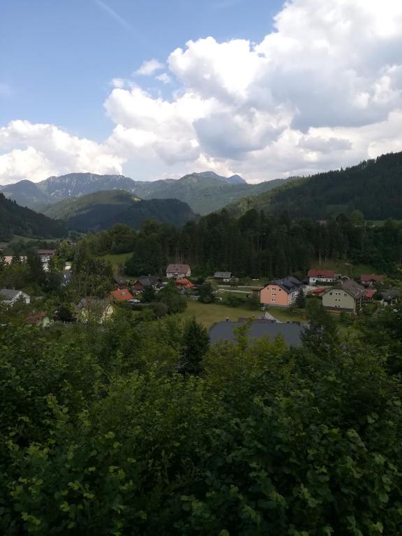 Příroda nedaleko apartmánu